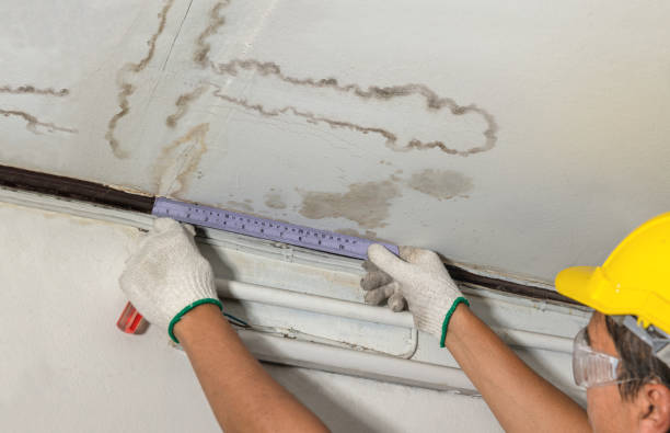 Reliable Basement Water Removal contractor in Clarkrange, TN by Water Damage Irwin